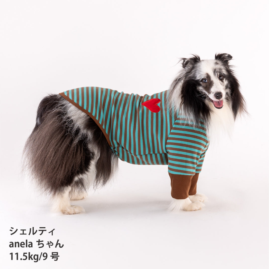 犬服 秋冬福袋  中型犬4枚入