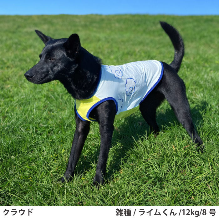 小型～超大型 ダックス 胴長 [全21size展開]<br>光るプリントクールタンク クラウド - VERY-PET