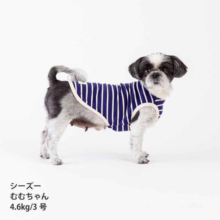 犬服 春夏福袋 小型犬6枚入