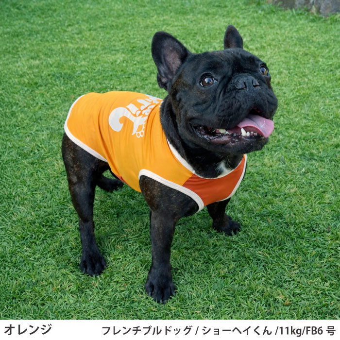 フレブル・パグ [全27size展開]<br>光るプリントクールタンク オレンジ - VERY-PET