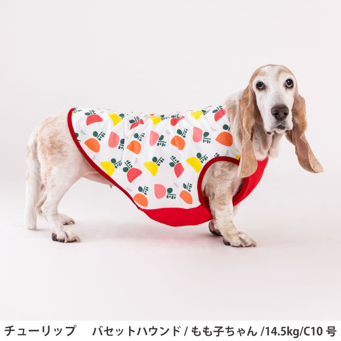 コーギー・バセット [全29size展開]<br>プリントクールタンク チューリップ - VERY-PET