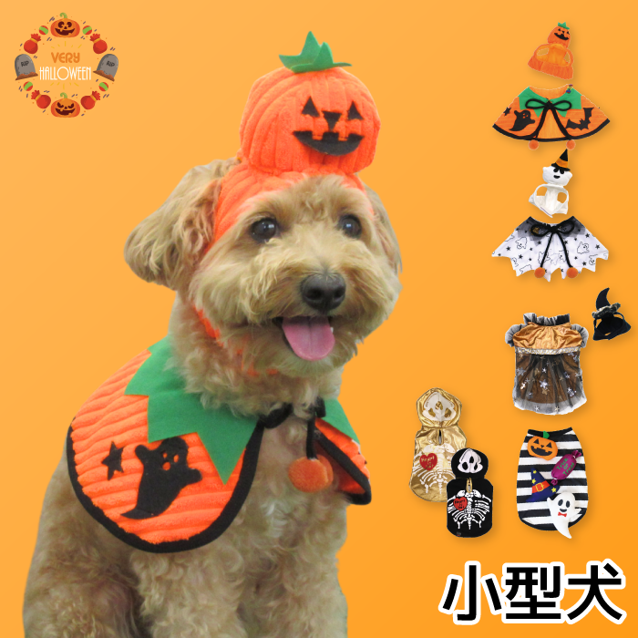 <font size="3">小型犬</font> <br>ハロウィンコスチューム 選べる5種類