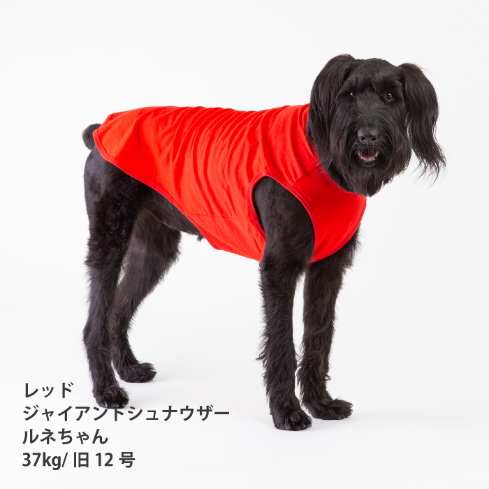 コットンタンクトップ　無地・ボーダー【綿100%】大型犬 - VERY-PET