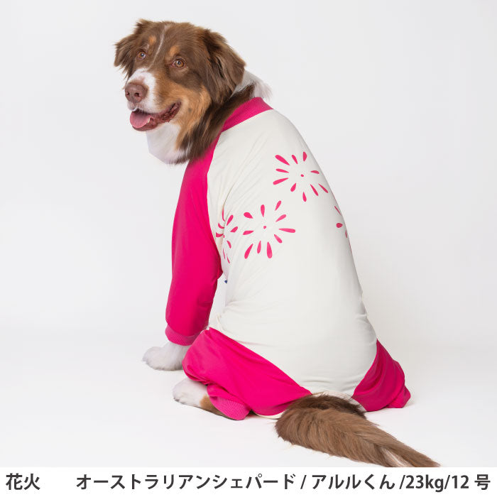小型～超大型 ダックス 胴長 [全17size展開]<br>光るプリントクールロンパース 花火 - VERY-PET