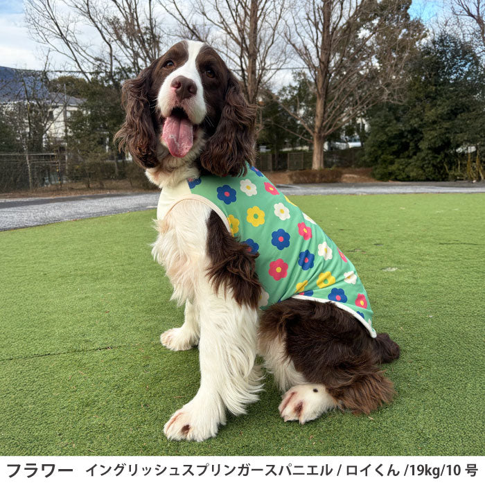 小型～超大型 ダックス 胴長 [全29size展開]<br>プリントクールタンク フラワー - VERY-PET