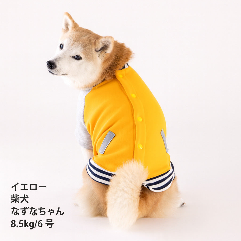 2025秋冬犬服｜小型犬 中型犬 大型犬 超大型犬 対応【スタジャン