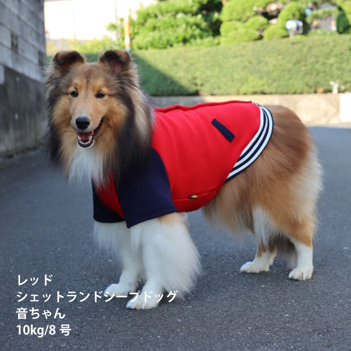 【スタイプレゼント対象商品】小型～超大型 ダックス 胴長 [全25size展開]<br>スタジャン