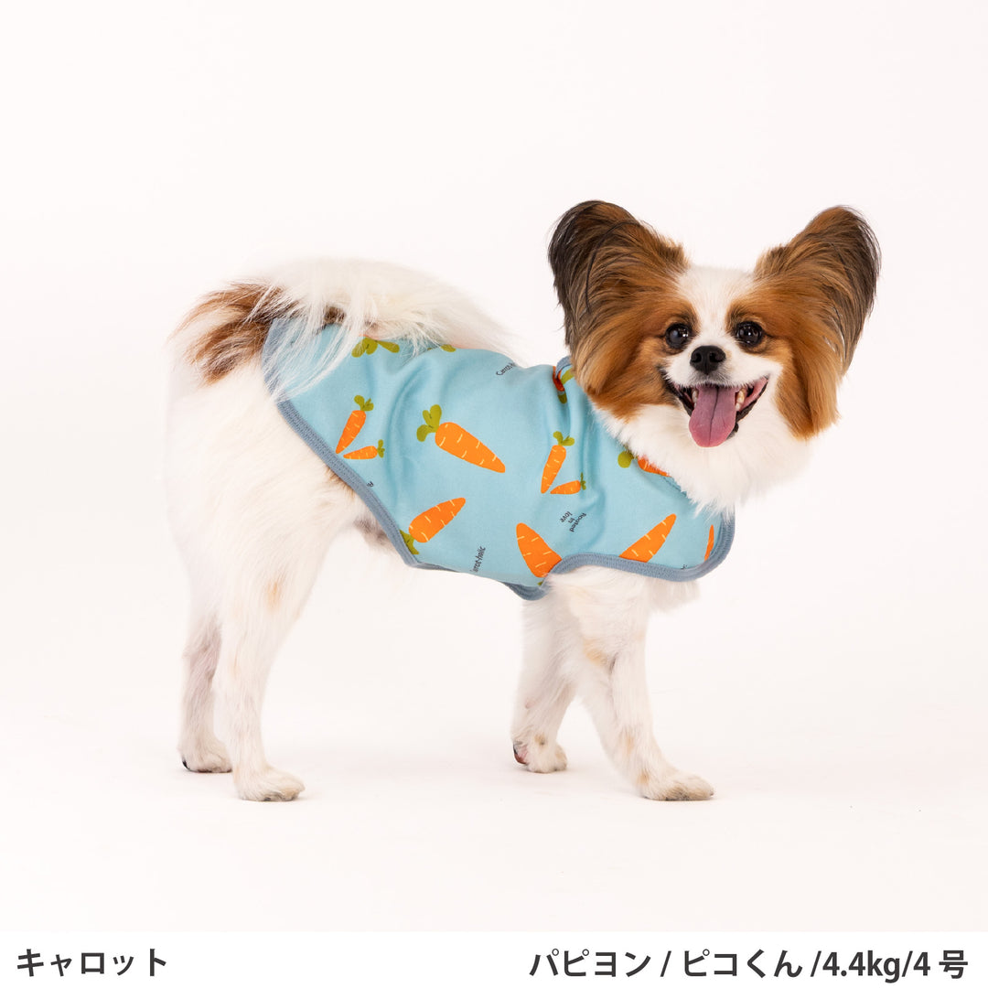 小型～大型 裏毛プリントコート-ベジタブル-