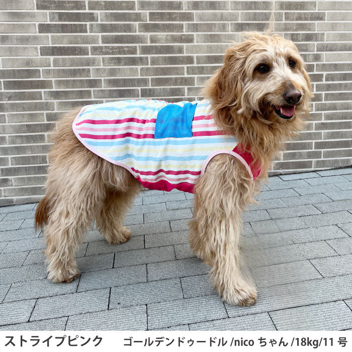 小型～超大型 ダックス 胴長 [全23size展開]<br>プリントクールタンク ストライプピンク - VERY-PET
