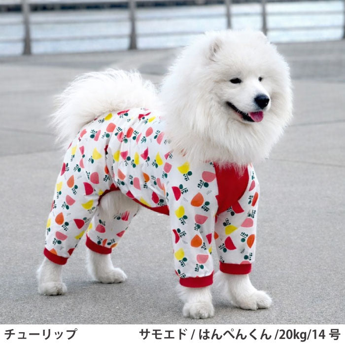 小型～超大型 ダックス 胴長 [全31size展開]<br>プリントクールロンパース チューリップ - VERY-PET