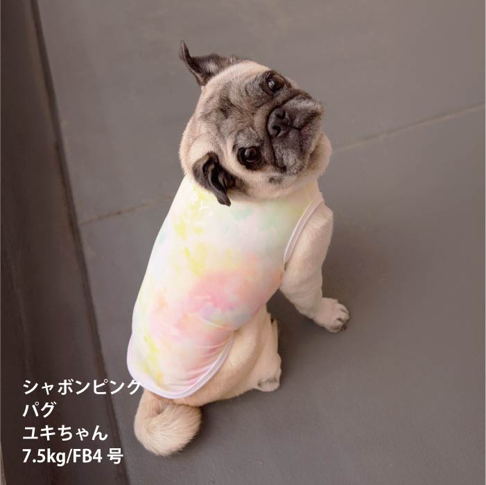 <font size="2">フレブル・パグ [全26size展開]</font><br>リラックスクールタンクトップ シャボンピンク - VERY-PET