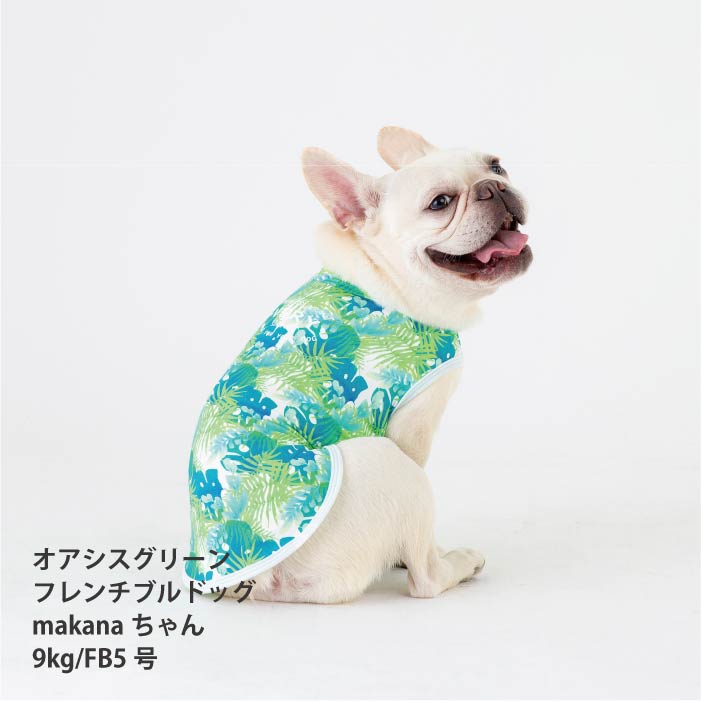 <font size="2">フレブル・パグ [全26size展開]</font><br>リラックスクールタンクトップ オアシスグリーン - VERY-PET