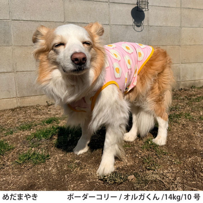 小型～超大型 ダックス 胴長 [全29size展開]<br>プリントクールタンク めだまやき - VERY-PET