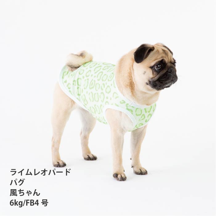 <font size="2">フレブル・パグ [全30size展開]</font><br>ポップクールタンクトップ ライムレオパード - VERY-PET