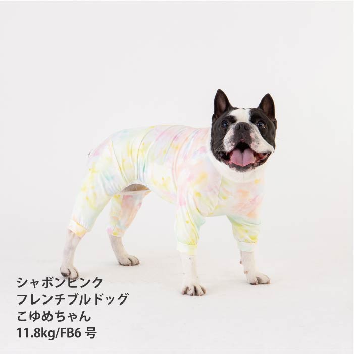 <font size="2">フレブル・パグ [全33size展開]</font><br>リラックスクールロンパース シャボンピンク - VERY-PET