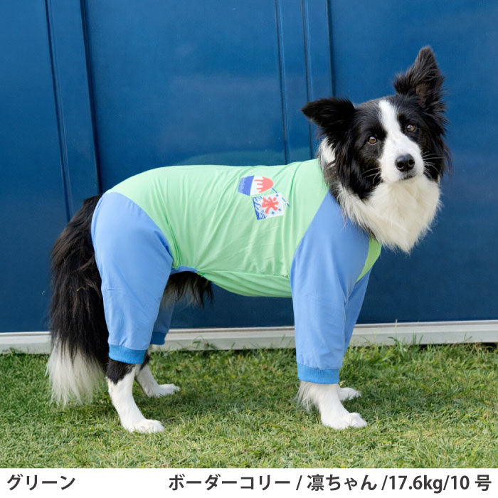 小型～超大型 ダックス 胴長 [全30size展開]<br>光るプリントクールロンパース グリーン - VERY-PET
