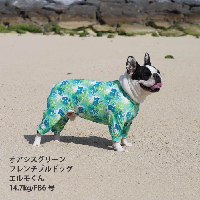 <font size="2">フレブル・パグ [全33size展開]</font><br>リラックスクールロンパース オアシスグリーン - VERY-PET