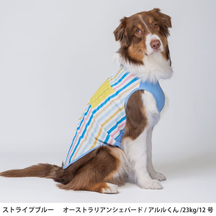 小型～超大型 ダックス 胴長 [全23size展開]<br>プリントクールタンク ストライプブルー - VERY-PET