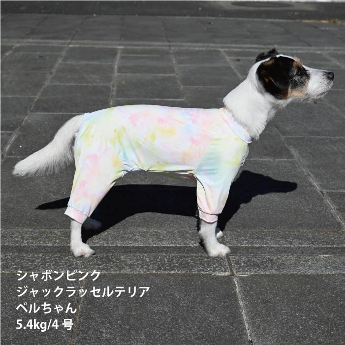 <font size="2">小型～超大型 ダックス 胴長 [全33size展開]</font><br>リラックスクールロンパース シャボンピンク - VERY-PET
