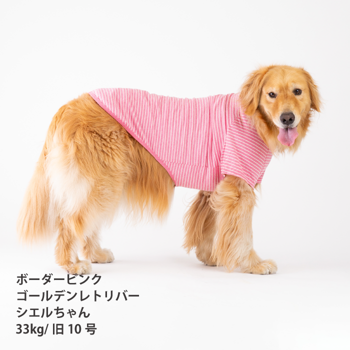 コットンTシャツ　無地・ボーダー【綿100%】大型犬 - VERY-PET