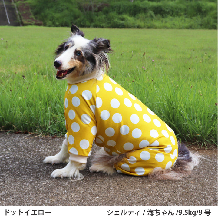 小型～超大型 ドットプリント裏毛ロンパース