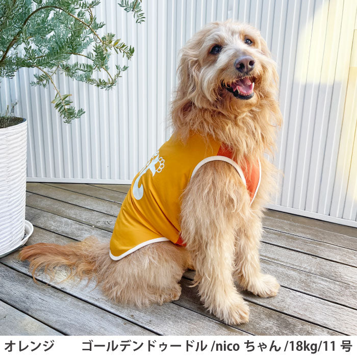 小型～超大型 ダックス 胴長 [全27size展開]<br>光るプリントクールタンク オレンジ - VERY-PET