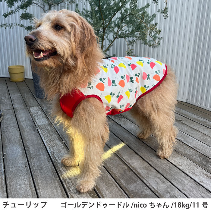 小型～超大型 ダックス 胴長 [全29size展開]<br>プリントクールタンク チューリップ - VERY-PET