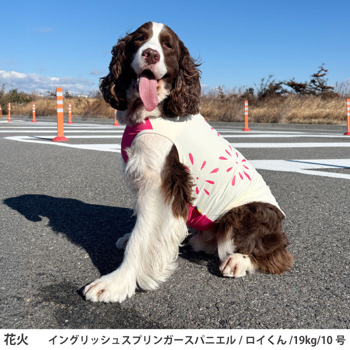 小型～超大型 ダックス 胴長 [全20size展開]<br>光るプリントクールタンク 花火 - VERY-PET