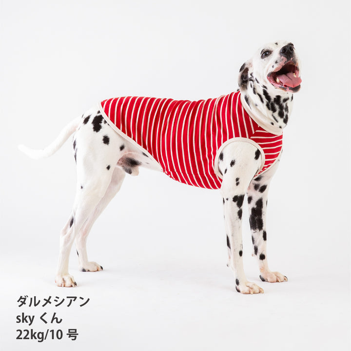 犬服 秋冬福袋  中型犬4枚入