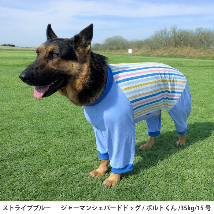 小型～超大型 ダックス 胴長 [全29size展開]<br>プリントクールロンパース ストライプブルー - VERY-PET