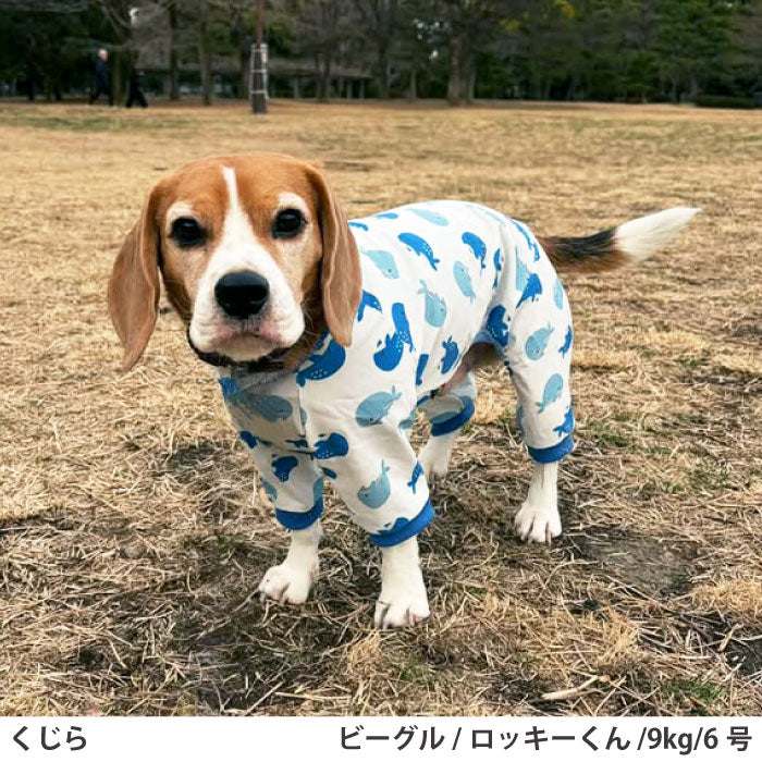 小型～超大型 ダックス 胴長 [全33size展開]<br>プリントクールロンパース クジラ - VERY-PET