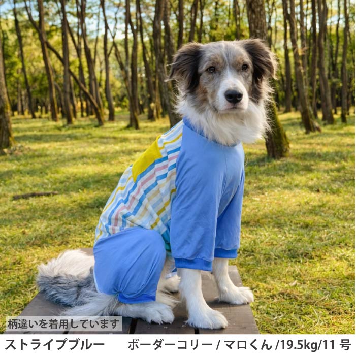 中型～大型 [全8size展開]<br>プリントクールロンパース アボカド - VERY-PET