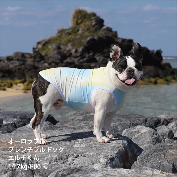 <font size="2">フレブル・パグ [全26size展開]</font><br>リラックスクールタンクトップ オーロラブルー - VERY-PET