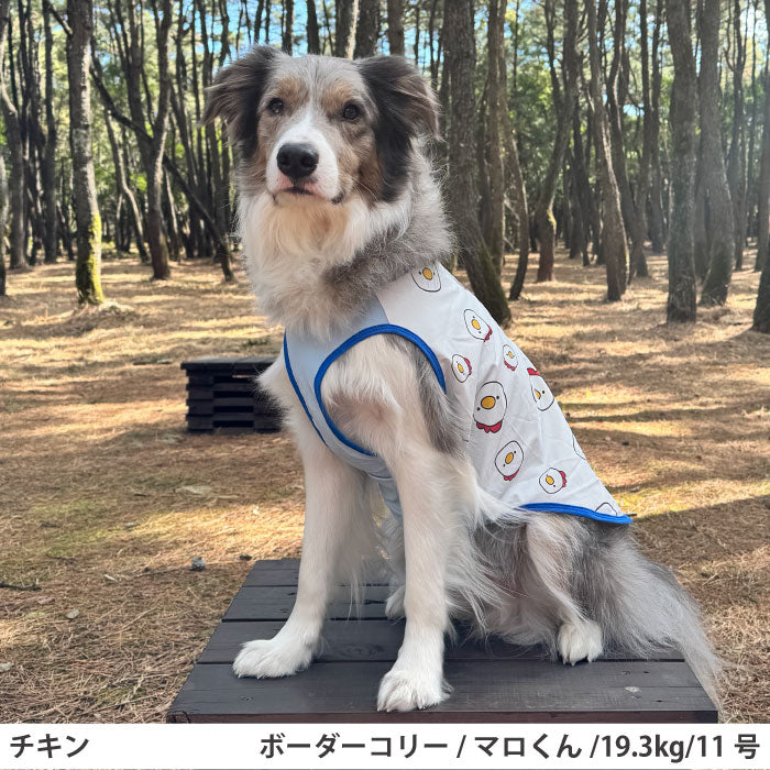小型～超大型 ダックス 胴長 [全29size展開]<br>プリントクールタンク チキン - VERY-PET