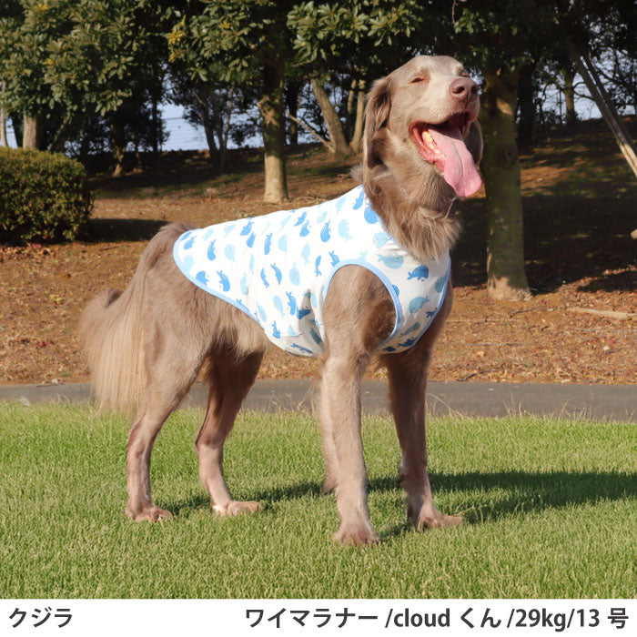 小型～超大型 ダックス 胴長 [全29size展開]<br>プリントクールタンク クジラ - VERY-PET