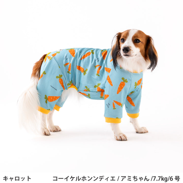 小型～超大型 プリント裏毛ロンパース