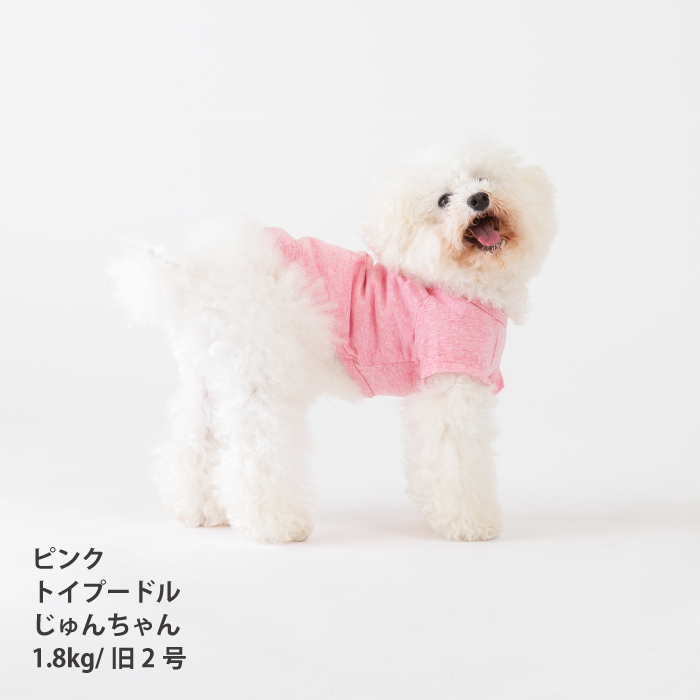 【綿100%】コットンTシャツ　小型犬・胴長・ダックス - VERY-PET