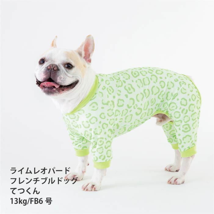 <font size="2">フレブル・パグ [全34size展開]</font><br>ポップクールロンパース ライムレオパード - VERY-PET