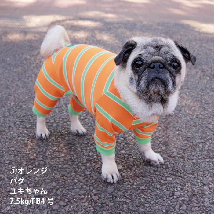<font size="2">フレブル・パグ [全33size展開]</font><br>コットンボーダーロンパース