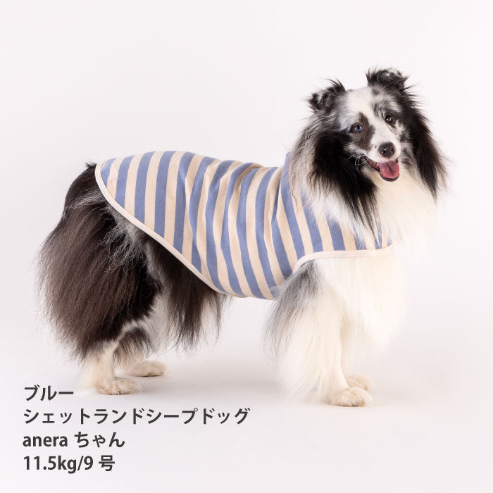 【スタイプレゼント対象商品】小型～超大型 ダックス 胴長 [全26size展開]<br>ボーダーコート - VERY-PET
