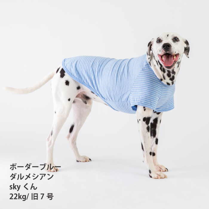 コットンTシャツ　無地・ボーダー【綿100%】中型犬 - VERY-PET