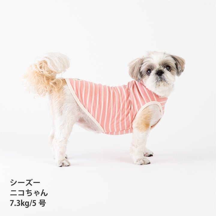 犬服 春夏福袋 小型犬6枚入