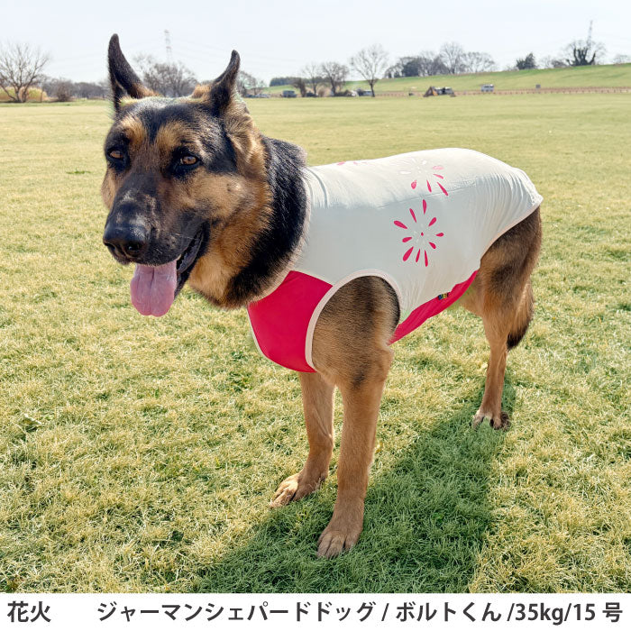 小型～超大型 ダックス 胴長 [全20size展開]<br>光るプリントクールタンク 花火 - VERY-PET