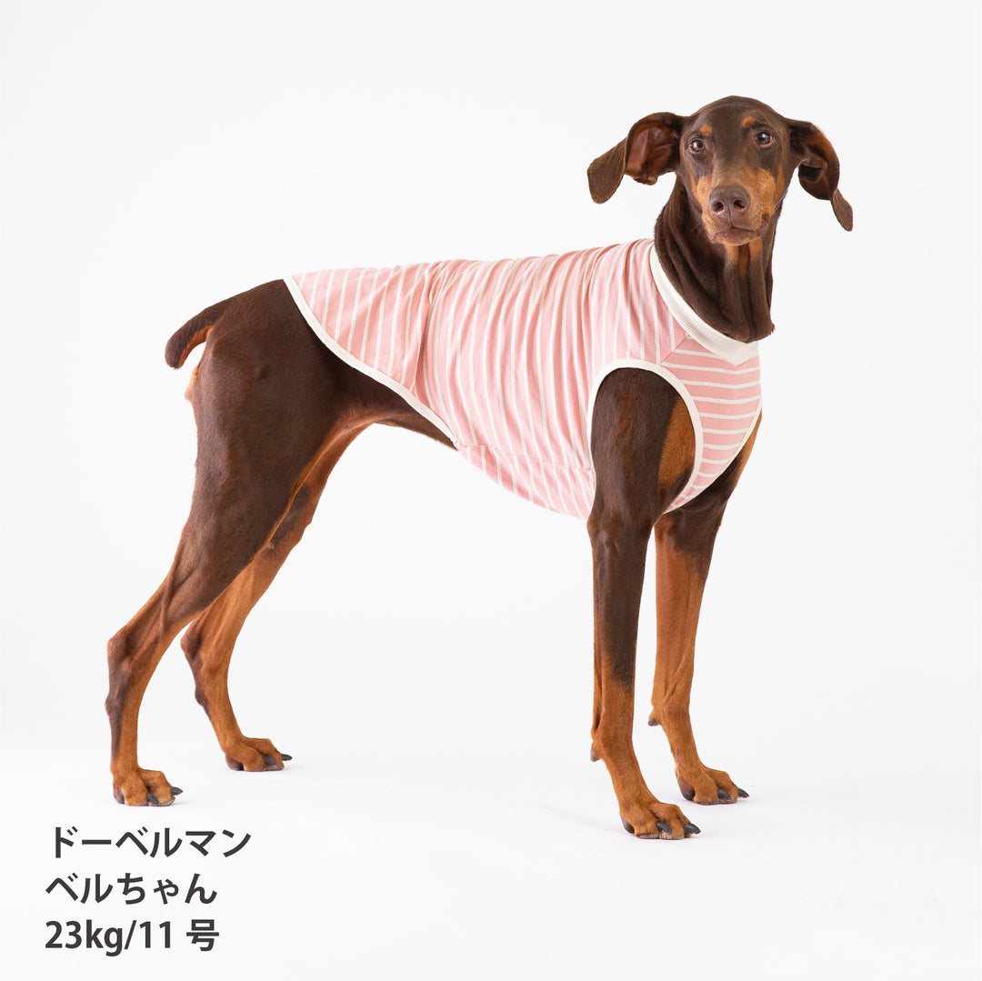 犬服 秋冬福袋  中型犬4枚入