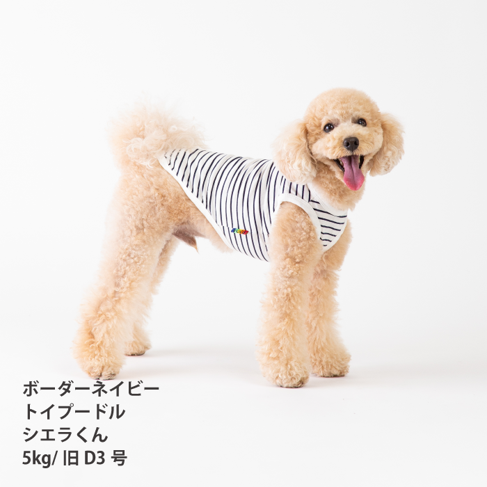 【綿100%】コットンタンクトップ　小型犬・胴長・ダックス - VERY-PET