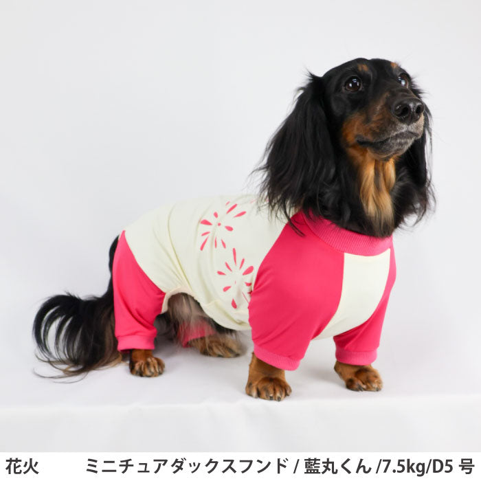 小型～超大型 ダックス 胴長 [全17size展開]<br>光るプリントクールロンパース 花火 - VERY-PET