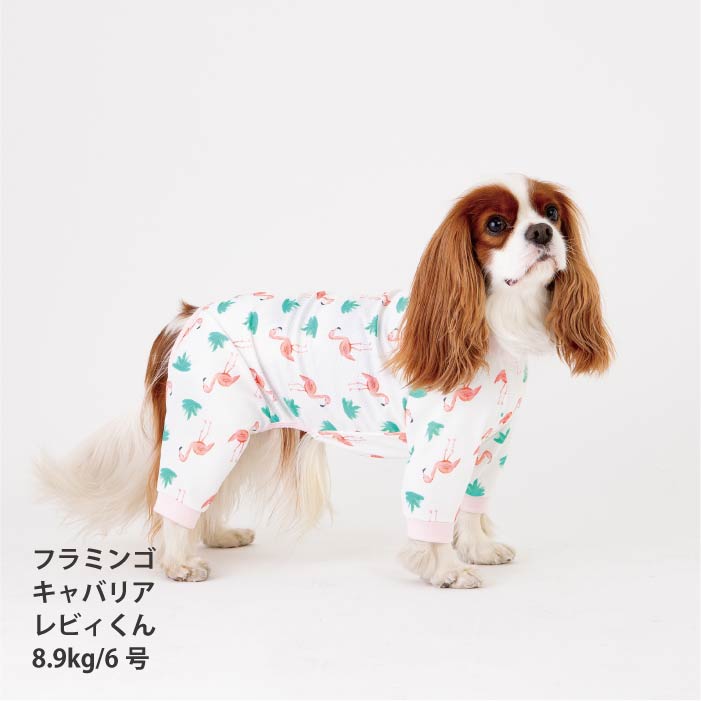 <font size="2">小型～超大型 ダックス 胴長 [全33size展開]</font><br>ポップクールロンパース フラミンゴ - VERY-PET