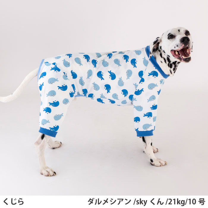 小型～超大型 ダックス 胴長 [全33size展開]<br>プリントクールロンパース クジラ - VERY-PET
