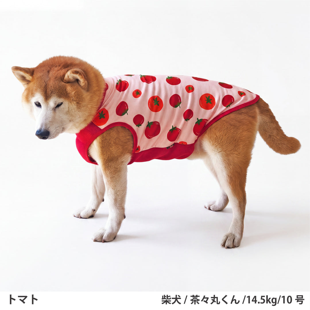 小型～超大型 プリント裏毛タンクトップ