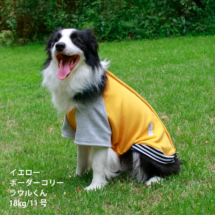 【スタイプレゼント対象商品】小型～超大型 ダックス 胴長 [全25size展開]<br>スタジャン - VERY-PET